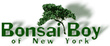 Codici Bonsai Boy