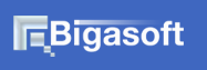 Codici Bigasoft