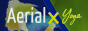 Codici AerialX