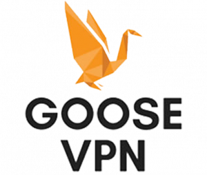 Codici Goose VPN