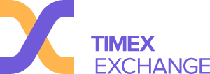 Codici TimeX.io